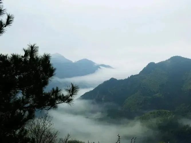 湖北365速发国际最新平台绿色能源有限公司