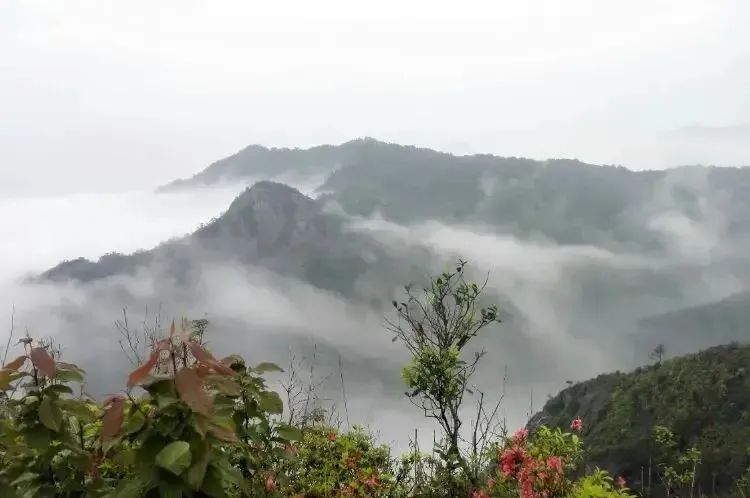 湖北365速发国际最新平台绿色能源有限公司