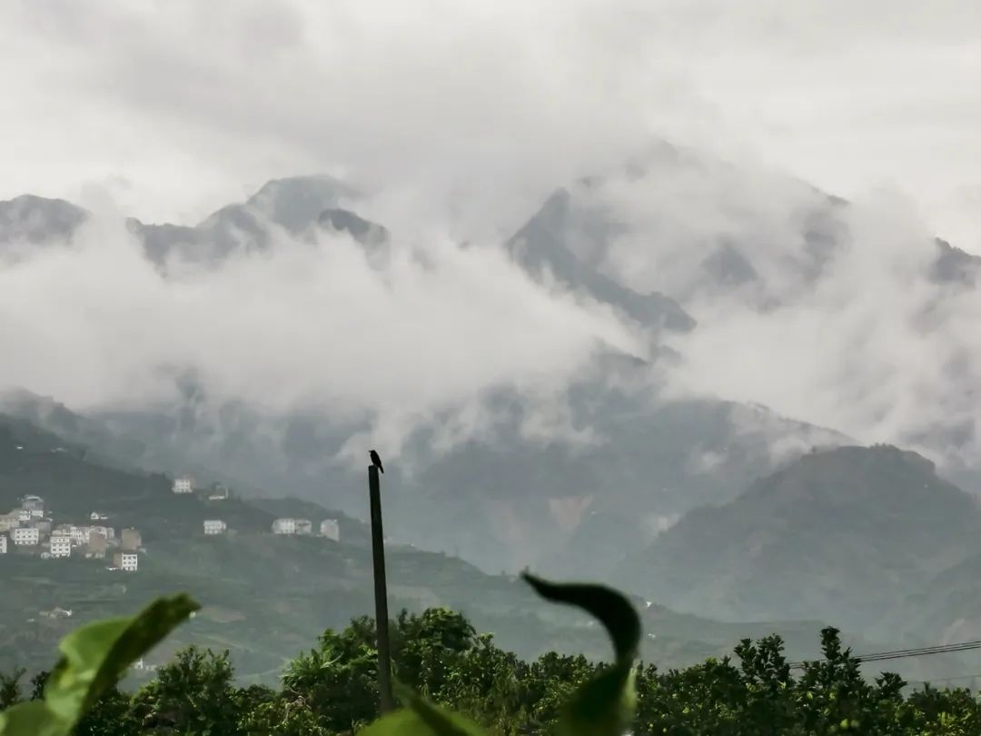 湖北365速发国际最新平台绿色能源有限公司